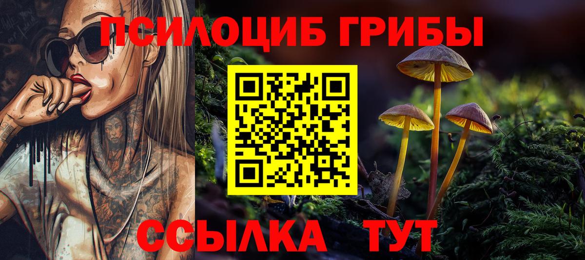 купить наркоту  Вход с VPN  Хасавюрт  Псилоцибиновые грибы GOLDEN TEACHER 