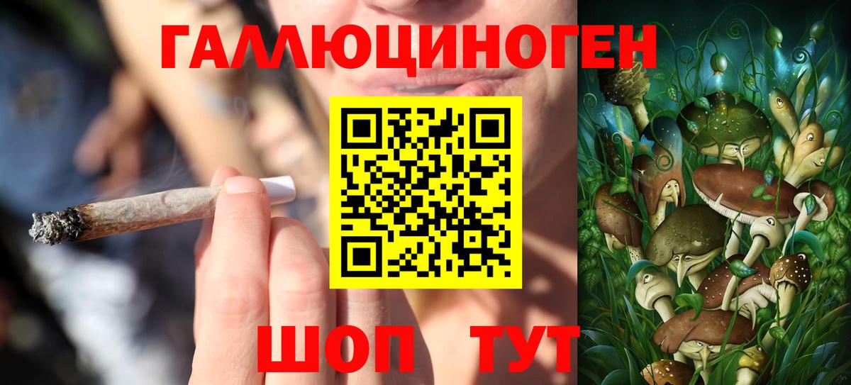 Псилоцибиновые грибы ЛСД Хасавюрт